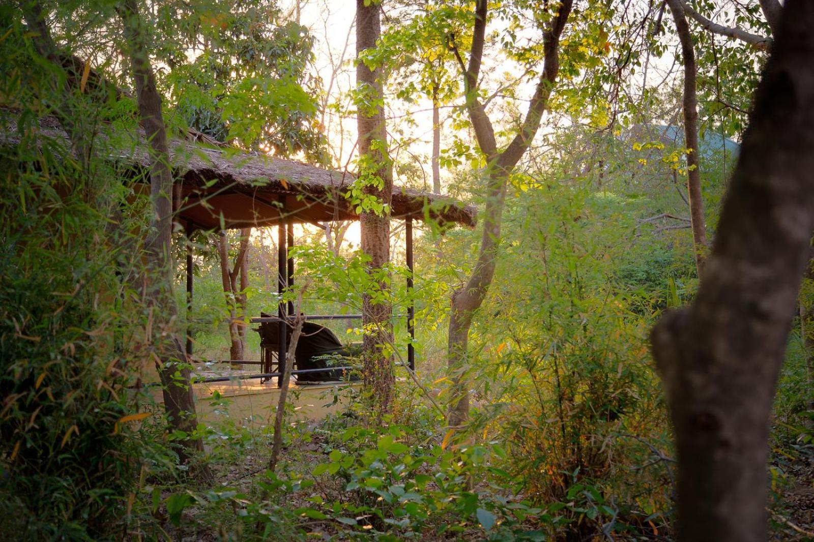 Hotel Jim'S Jungle Retreat Ramnagar  Exteriér fotografie