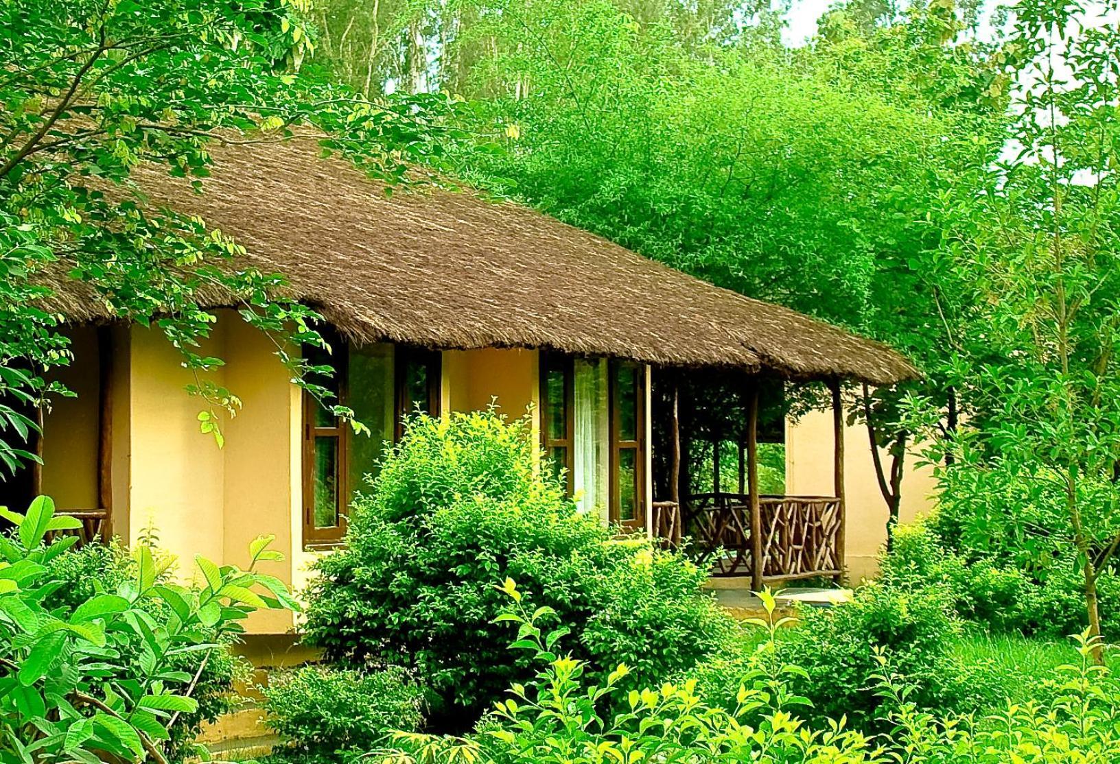 Hotel Jim'S Jungle Retreat Ramnagar  Exteriér fotografie