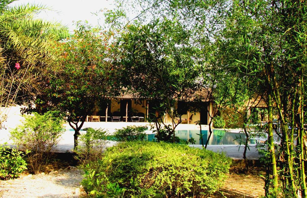 Hotel Jim'S Jungle Retreat Ramnagar  Exteriér fotografie