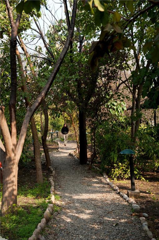 Hotel Jim'S Jungle Retreat Ramnagar  Exteriér fotografie