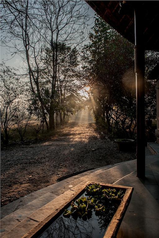 Hotel Jim'S Jungle Retreat Ramnagar  Exteriér fotografie