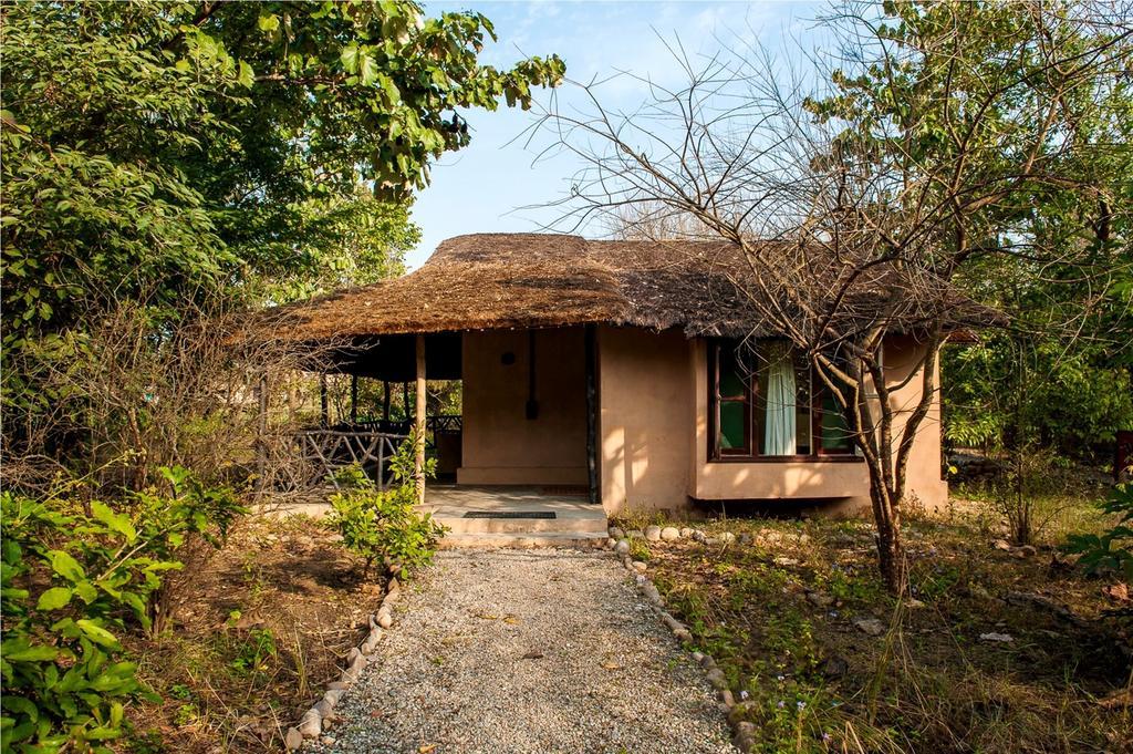 Hotel Jim'S Jungle Retreat Ramnagar  Pokoj fotografie