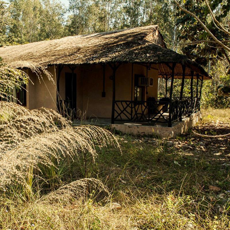 Hotel Jim'S Jungle Retreat Ramnagar  Exteriér fotografie