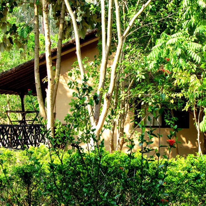 Hotel Jim'S Jungle Retreat Ramnagar  Exteriér fotografie