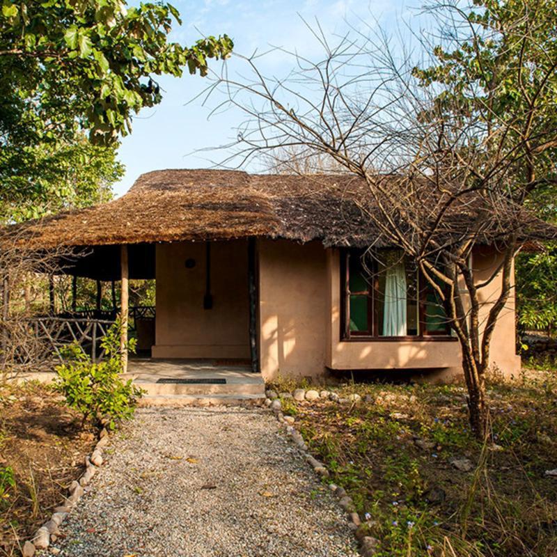 Hotel Jim'S Jungle Retreat Ramnagar  Exteriér fotografie