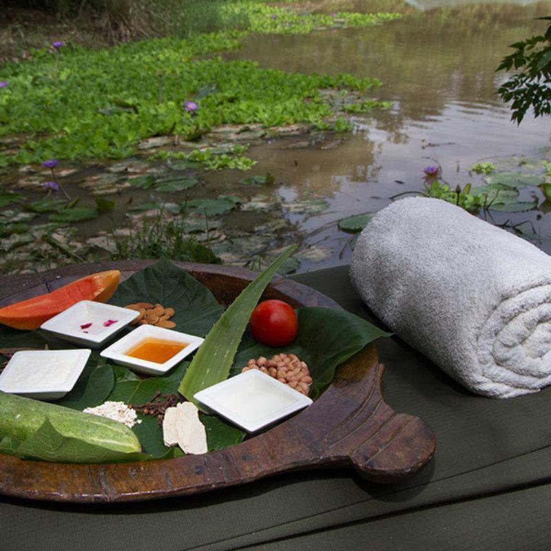 Hotel Jim'S Jungle Retreat Ramnagar  Exteriér fotografie
