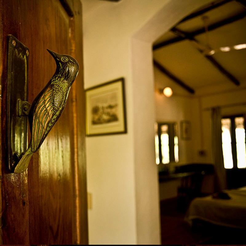 Hotel Jim'S Jungle Retreat Ramnagar  Exteriér fotografie