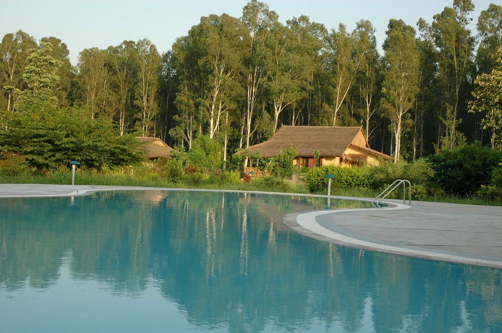 Hotel Jim'S Jungle Retreat Ramnagar  Exteriér fotografie