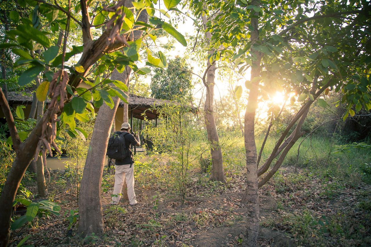 Hotel Jim'S Jungle Retreat Ramnagar  Exteriér fotografie
