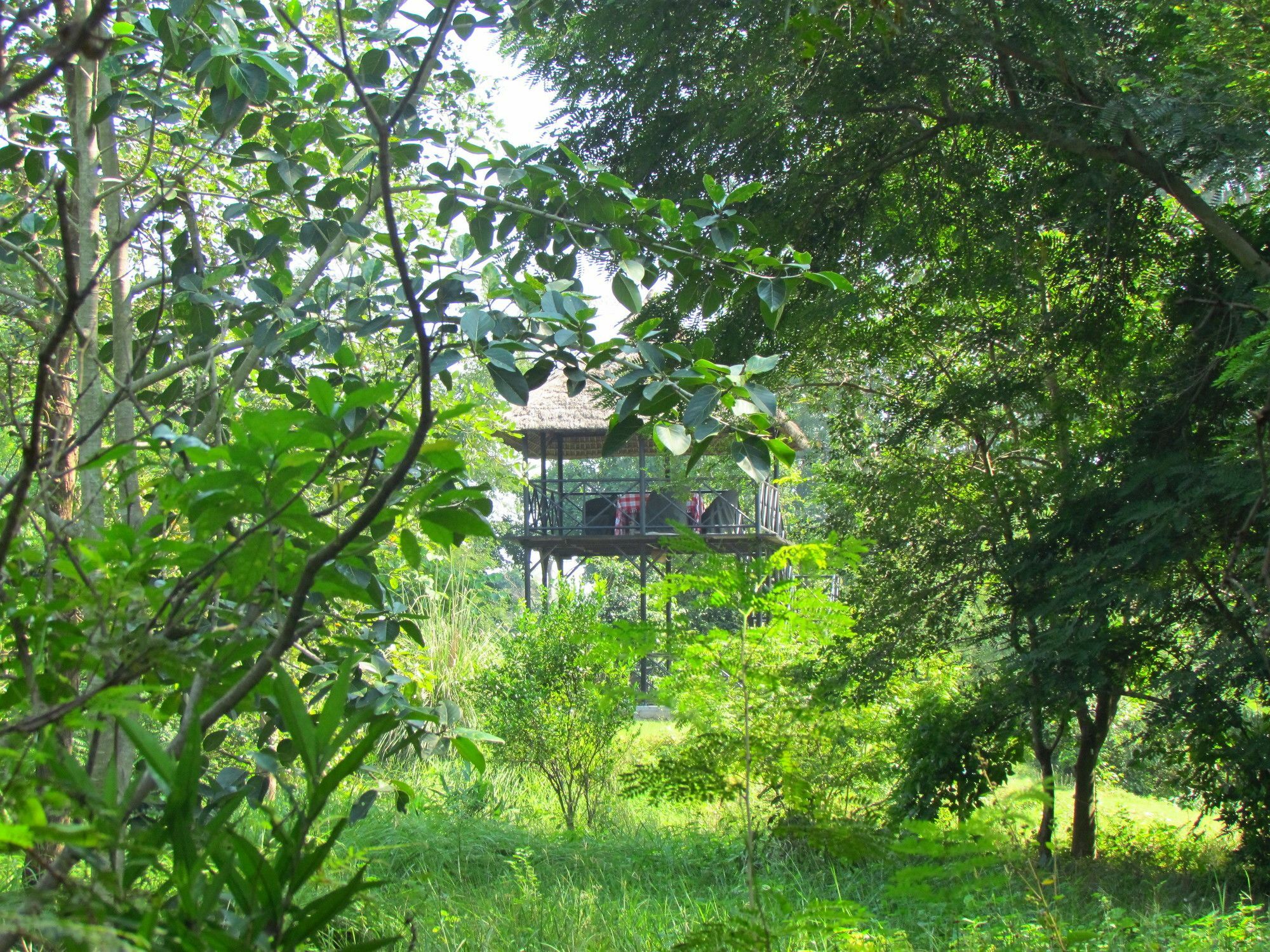 Hotel Jim'S Jungle Retreat Ramnagar  Exteriér fotografie