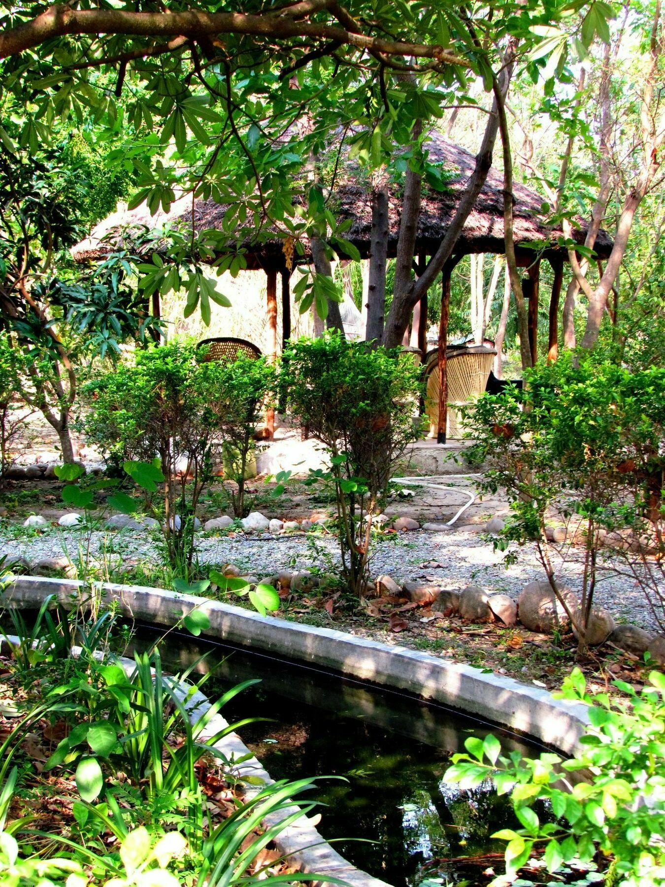 Hotel Jim'S Jungle Retreat Ramnagar  Exteriér fotografie